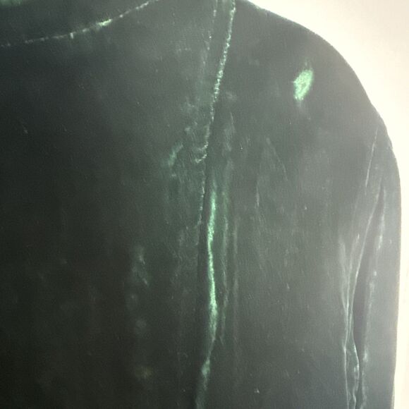 Dana B & Karen Womens Velvet Top 4 Silk Button Up Minimalist Forest Fairy Dark - Picture 6 of 10